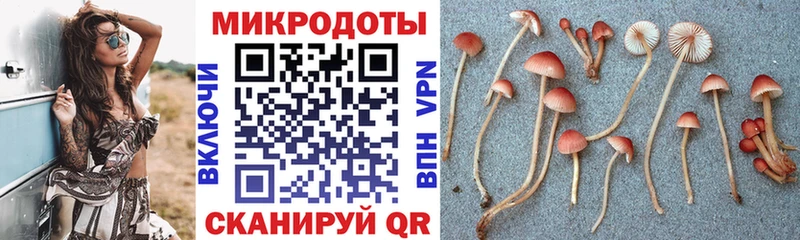 Псилоцибиновые грибы MAGIC MUSHROOMS  Суздаль 